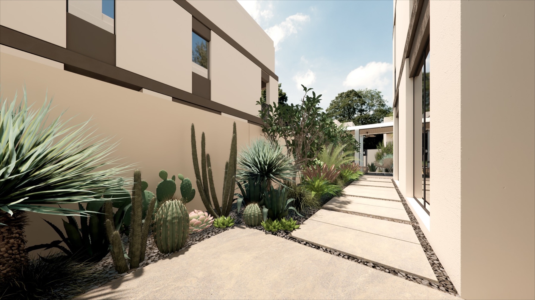 Modern garden passage with sculptural planting and large stepping stones
